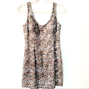 Silk Sequin Dress